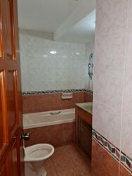 Simsville (D14), Condominium #581209361